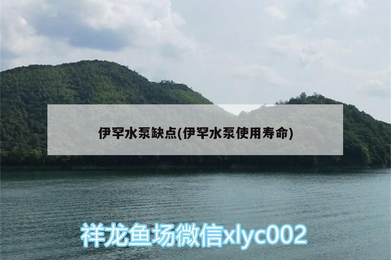 龍魚(yú)最便宜好養(yǎng)活、什么龍魚(yú)最便宜好養(yǎng)活、什么龍魚(yú)最便宜好養(yǎng)活，什么龍魚(yú)最便宜好養(yǎng)