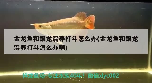 伊罕加熱棒溫度上不去：伊罕加熱棒溫度調亂了