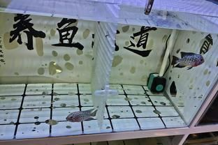 diy魚缸隔離盒：diy魚缸隔離盒的制作方法