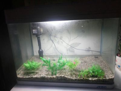 603540的魚缸：603540規格魚缸信息和使用經驗和建議
