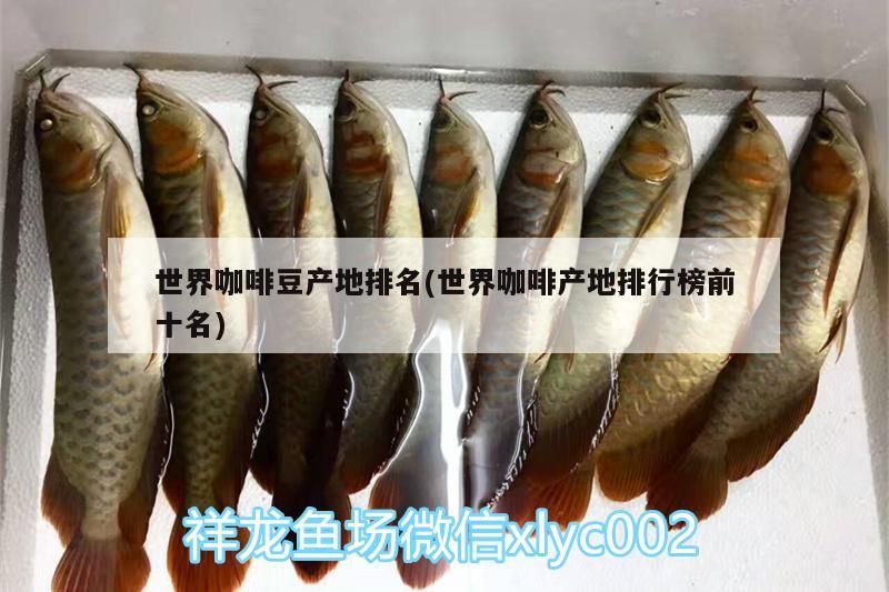 世界咖啡豆產地排名(世界咖啡產地排行榜前十名)