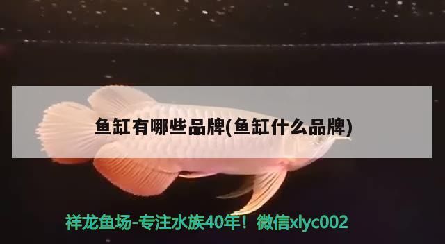 魚缸有哪些品牌(魚缸什么品牌) 魚缸有哪些品牌(魚缸什么品牌) iwish愛唯希品牌魚缸