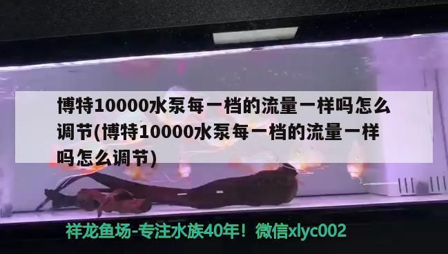 魚缸用增氧泵價格是多少:魚缸增氧機-xtrac增氧機-xtrac增氧機 博特10000水泵每一檔的流量一樣嗎怎么調節(博特10000水泵每一檔的流量一樣嗎怎么調節) 博特水族 博特10000水泵每一檔的流量一樣嗎怎么調節(博特10000水泵每一檔的流量一樣嗎怎么調節) 博特10000水泵每一檔的流量一樣嗎怎么調節(博特10000水泵每一檔的流量一樣嗎怎么調節) 博特水族