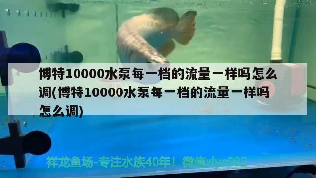 紅龍魚用黃燈烤有用嗎 博特10000水泵每一檔的流量一樣嗎怎么調(diào)(博特10000水泵每一檔的流量一樣嗎怎么調(diào)) 博特水族 博特10000水泵每一檔的流量一樣嗎怎么調(diào)(博特10000水泵每一檔的流量一樣嗎怎么調(diào)) 博特10000水泵每一檔的流量一樣嗎怎么調(diào)(博特10000水泵每一檔的流量一樣嗎怎么調(diào)) 博特水族