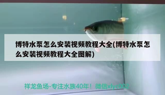 博特水泵怎么安裝視頻教程大全(博特水泵怎么安裝視頻教程大全圖解)
