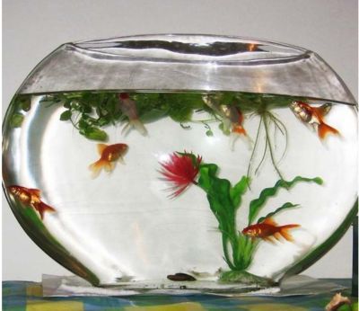 diy魚缸蓋板：diy魚缸蓋板diy魚缸蓋板的制作過程需求和實(shí)際制作過程