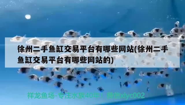 徐州二手魚缸交易平臺有哪些網(wǎng)站(徐州二手魚缸交易平臺有哪些網(wǎng)站的)