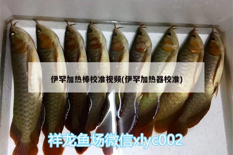 伊罕加熱棒校準視頻(伊罕加熱器校準)