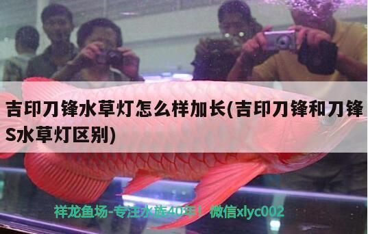吉印刀鋒水草燈怎么樣加長(吉印刀鋒和刀鋒S水草燈區別)