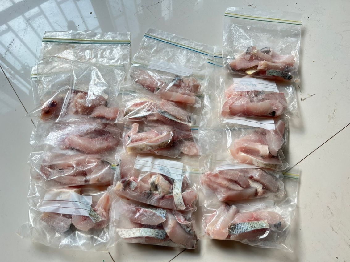 一個月的口糧補充到位 一個月的口糧補充到位 龍魚論壇 第2張