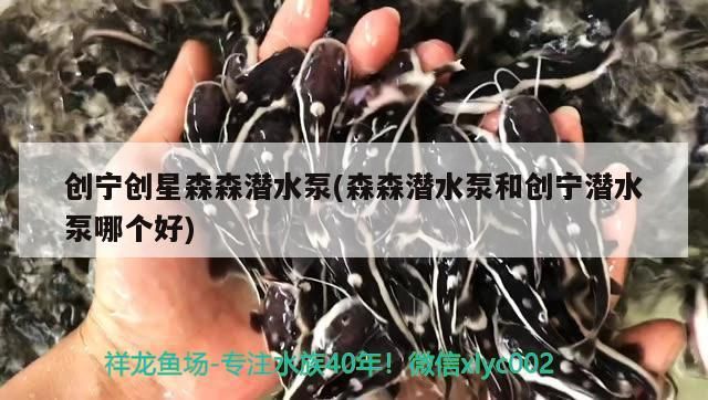 創寧創星森森潛水泵(森森潛水泵和創寧潛水泵哪個好)