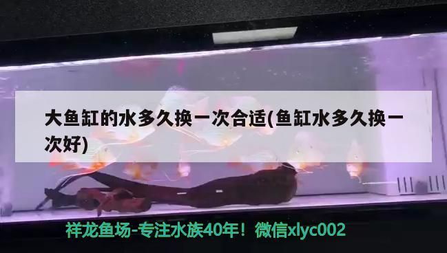 大魚缸的水多久換一次合適(魚缸水多久換一次好)