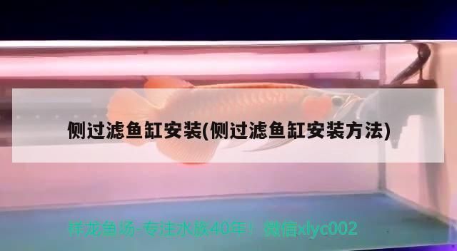 側過濾魚缸安裝(側過濾魚缸安裝方法)