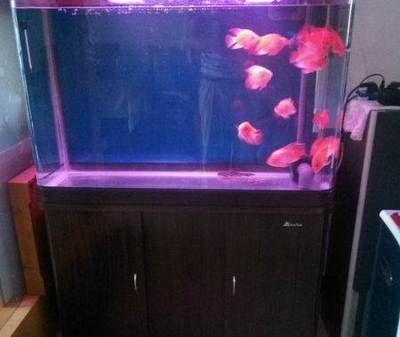 森森牌魚缸最新款一米二的 森森牌魚缸最新款一米二的 森森魚缸