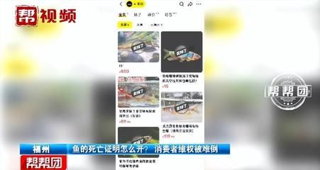 龍魚進口商和龍魚進口限制的相關信息，龍魚進口商和龍魚進口商和龍魚進口商的標準概述龍魚美的標準