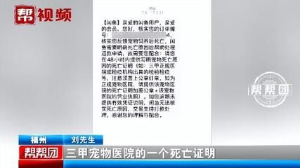 觀賞魚買回來就死了,可以去找老板嗎（觀賞魚的養(yǎng)護(hù)誤區(qū)）