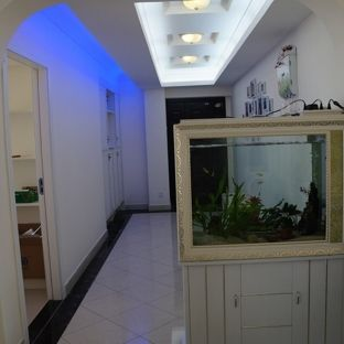 魚缸放在正對大門，魚缸擺放影響財運嗎 魚缸放在正對大門，魚缸擺放影響財運嗎 魚缸百科 第3張