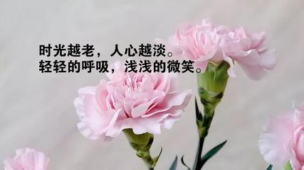農(nóng)村井水自我檢測方法，保障家庭飲水安全的實用指南，農(nóng)村家庭井水安全自檢指南，簡單實用的飲水保障方法