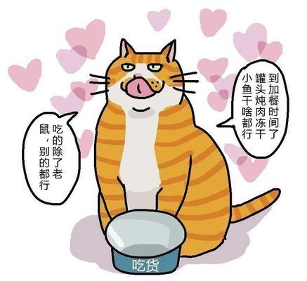 寧為魚肉不為刀俎，論被動與主動的人生抉擇，寧為魚肉不為刀俎，論被動生存與主動抉擇的人生哲學