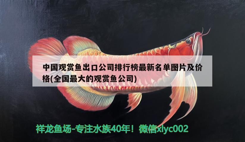 吉印水草燈功率低(水草燈功率選擇) 吉印水草燈功率低(水草燈功率選擇) 吉印水族 第1張