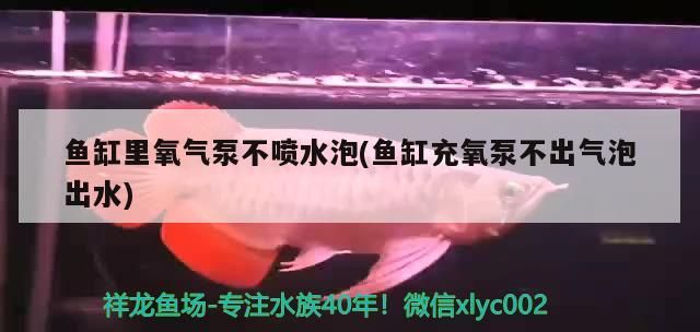 吉印水草燈功率低(水草燈功率選擇) 吉印水草燈功率低(水草燈功率選擇) 吉印水族 第3張