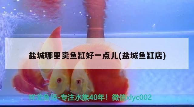 鹽城哪里賣魚缸好一點(diǎn)兒(鹽城魚缸店)
