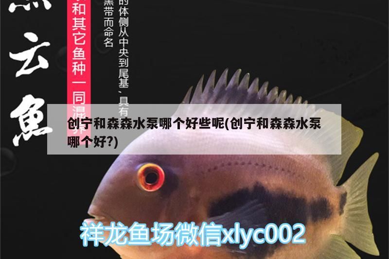 創(chuàng)寧和森森水泵哪個好些呢(創(chuàng)寧和森森水泵哪個好?)