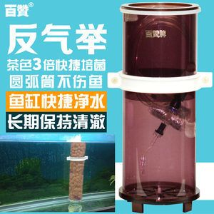 80魚缸300瓦加熱要多長時間：80魚缸使用300瓦的加熱棒加熱所需時間
