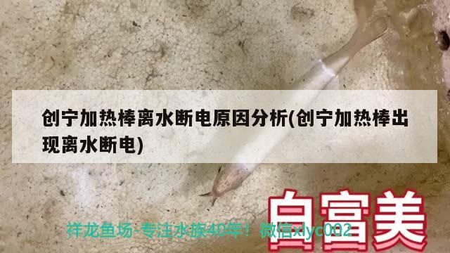 創寧加熱棒離水斷電原因分析(創寧加熱棒出現離水斷電)