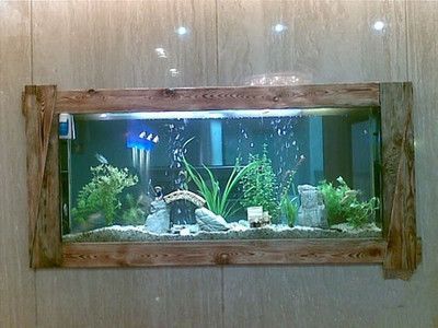 1米的魚缸加多少海鹽：1米長的魚缸加鹽需要根據具體的飼養對象和用途來決定 1米的魚缸加多少海鹽：1米長的魚缸加鹽需要根據具體的飼養對象和用途來決定 魚缸百科 第3張