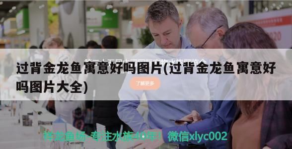過背金龍魚寓意好嗎圖片(過背金龍魚寓意好嗎圖片大全)