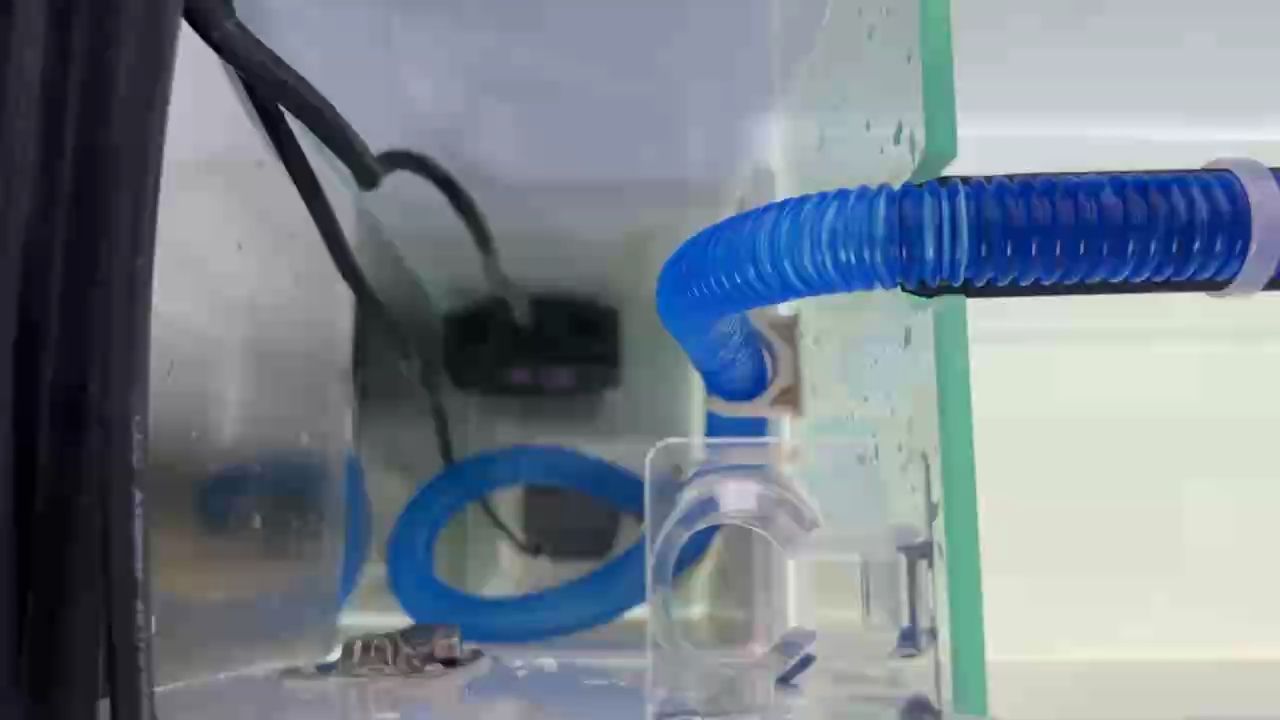 改好后的成品，還算成功！[deyi] 改好后的成品，還算成功！[deyi] 龍魚論壇