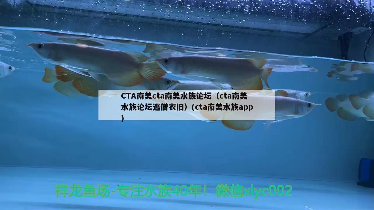 CTA南美cta南美水族論壇(cta南美水族論壇逃僧衣舊)(cta南美水族app) iwish愛唯希品牌魚缸 CTA南美cta南美水族論壇(cta南美水族論壇逃僧衣舊)(cta南美水族app) CTA南美cta南美水族論壇(cta南美水族論壇逃僧衣舊)(cta南美水族app) iwish愛唯希品牌魚缸