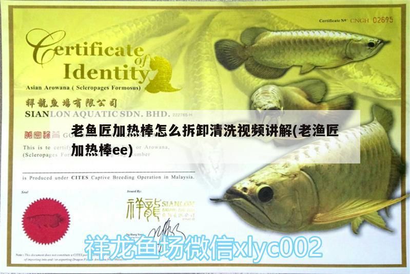 觀賞魚 老魚匠加熱棒怎么拆卸清洗視頻講解(老漁匠加熱棒ee) 老魚匠 老魚匠加熱棒怎么拆卸清洗視頻講解(老漁匠加熱棒ee) 老魚匠加熱棒怎么拆卸清洗視頻講解(老漁匠加熱棒ee) 老魚匠