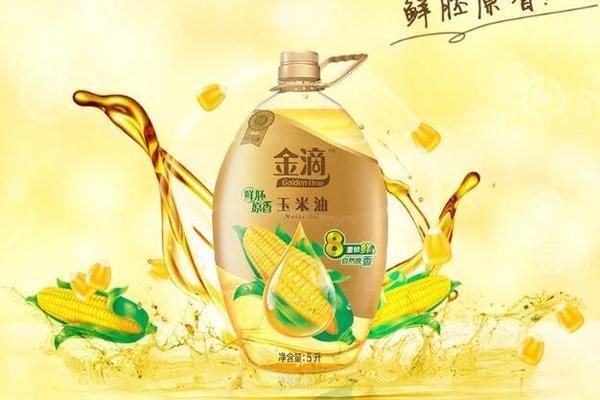 金龍魚夏季飲食調整方法：金龍魚在夏季的飲食調整方法