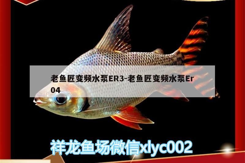 老魚匠變頻水泵ER3:老魚匠變頻水泵Er04