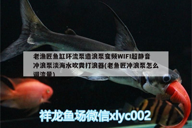 老漁匠魚缸環流泵造浪泵變頻WIFI超靜音沖浪泵淡海水吹糞打浪器(老魚匠沖浪泵怎么調流量) 老漁匠魚缸環流泵造浪泵變頻WIFI超靜音沖浪泵淡海水吹糞打浪器(老魚匠沖浪泵怎么調流量) 老魚匠 第2張