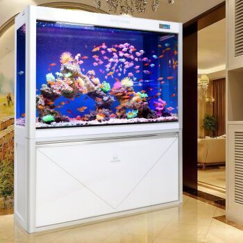 金龍魚夏季最佳水溫范圍：金龍魚夏季最佳水溫范圍是多少