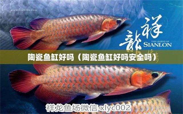 魚缸 養魚缸漏水用什么膠粘最好呢(養魚缸漏水用什么膠粘最好呢視頻) 觀賞魚百科 養魚缸漏水用什么膠粘最好呢(養魚缸漏水用什么膠粘最好呢視頻) 養魚缸漏水用什么膠粘最好呢(養魚缸漏水用什么膠粘最好呢視頻) 觀賞魚百科