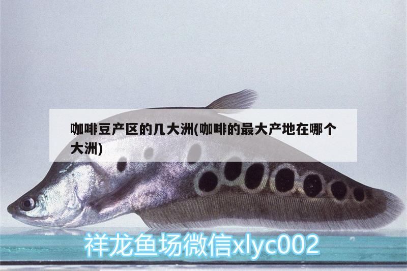 咖啡豆產區的幾大洲(咖啡的最大產地在哪個大洲) 咖啡豆產區的幾大洲(咖啡的最大產地在哪個大洲) 馬來西亞咖啡