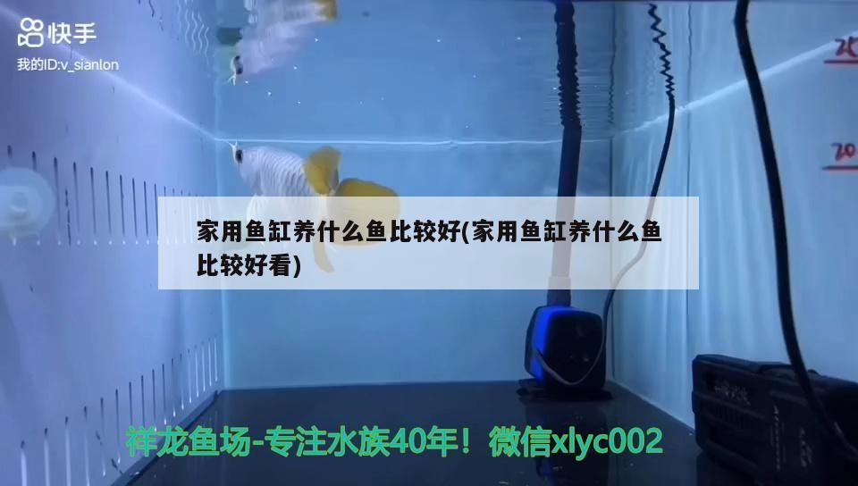柳州水族店和水族館餐廳的詳細描述柳州水族店對應的相關信息，柳州水族店和水族館餐廳