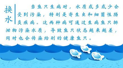 魟魚腸炎只加強換水能治愈嘛：魟魚腸炎只加強換水能治愈嘛， 魟魚腸炎只加強換水能治愈嘛：魟魚腸炎只加強換水能治愈嘛， 魟魚百科 第2張