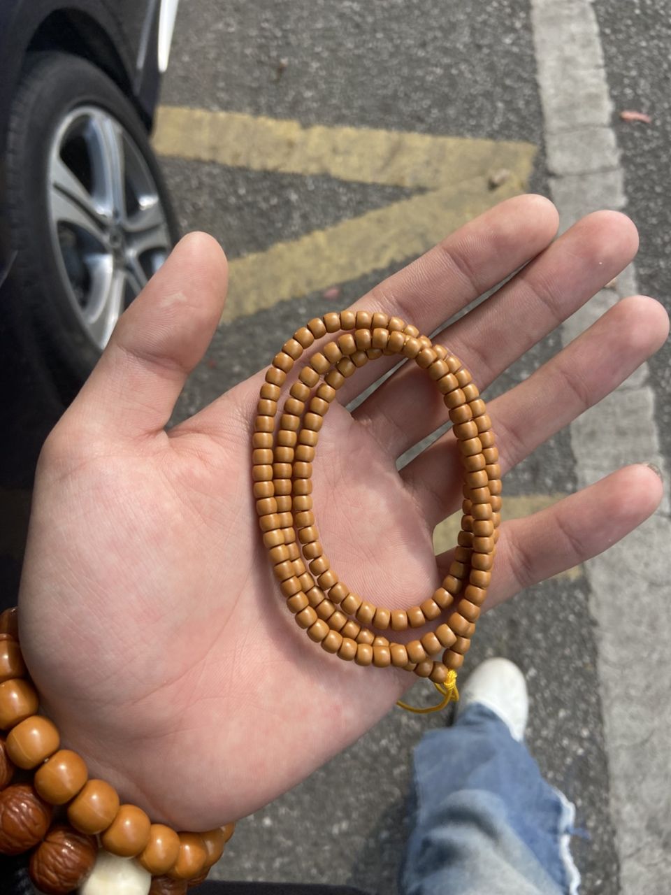 小核尖 龍魚論壇 第2張 小核尖 小核尖 龍魚論壇 第2張