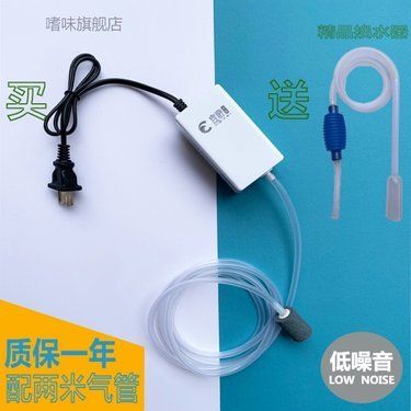 印尼加里曼丹紅龍價格（印尼加里曼丹紅龍價格多少）