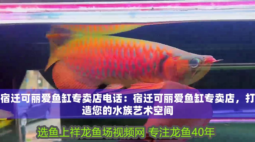 宿遷可麗愛魚缸專賣店電話:宿遷可麗愛魚缸專賣店,打造您的水族藝術(shù)空間 iwish愛唯希品牌魚缸 第1張 宿遷可麗愛魚缸專賣店電話:宿遷可麗愛魚缸專賣店,打造您的水族藝術(shù)空間 宿遷可麗愛魚缸專賣店電話:宿遷可麗愛魚缸專賣店,打造您的水族藝術(shù)空間 iwish愛唯希品牌魚缸 第1張