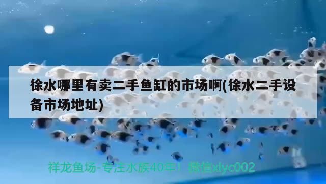 徐水哪里有賣二手魚缸的市場啊(徐水二手設(shè)備市場地址)
