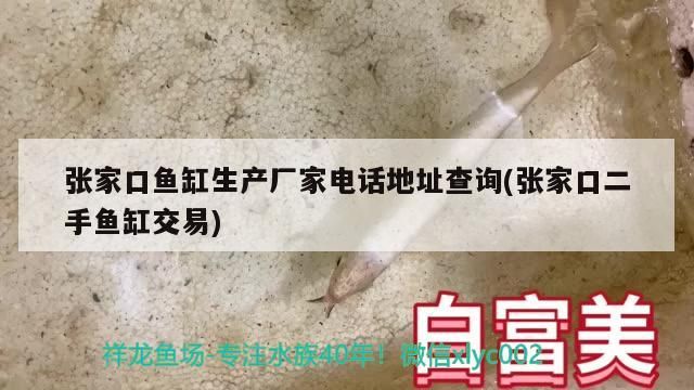 張家口魚缸生產廠家電話地址查詢(張家口二手魚缸交易)