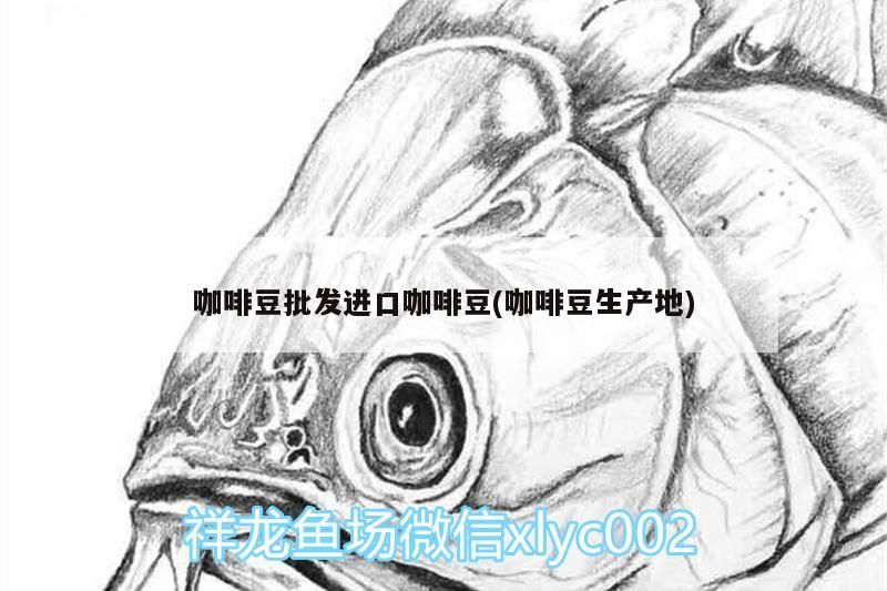 咖啡豆批發進口咖啡豆(咖啡豆生產地)