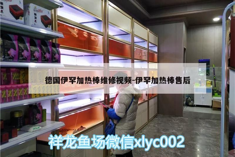 德國伊罕加熱棒維修視頻:伊罕加熱棒售后 德國伊罕加熱棒維修視頻:伊罕加熱棒售后 伊罕水族