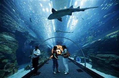 aquarium什么意思：\"aquarium\"
